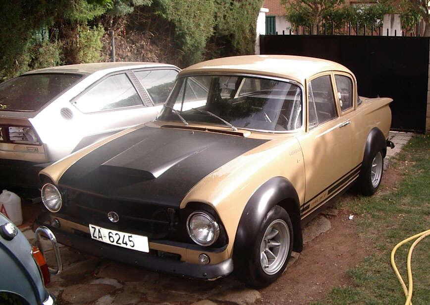 Luis's Cobra Minx
