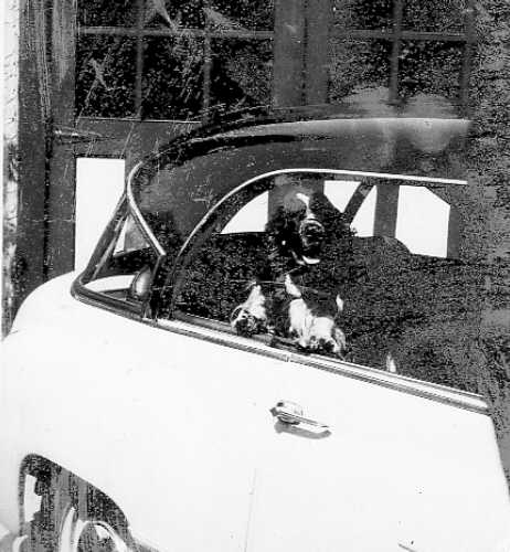 Peter's Hillman